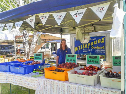 Young And Region Farmers Markets - Travel Agents 1