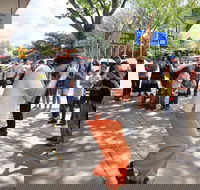 Australian National Busking Championships - Travel Search