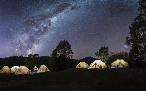 A Wild Night Out - Spring - Tourism Guide 6