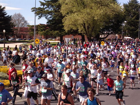 Bathurst Edgell Jog - Tourism Guide 0