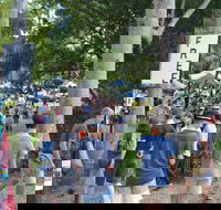 Bellingen Community Markets - Travel Search