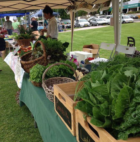 Bermagui Growers Market - Tourism Guide 5