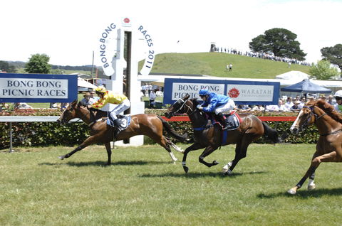 Bong Bong Picnic Races - Travel Agents 0