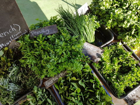 Carlton Farmers' Market - Cruises Travel 2