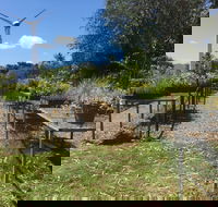Conservation Volunteers Australia Townsville - Ocean View Nursery - Tourism Guide