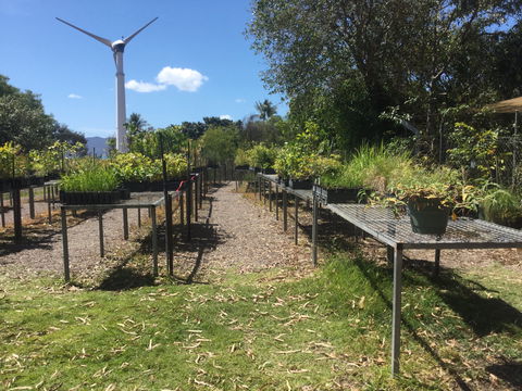 Conservation Volunteers Australia Townsville - Ocean View Nursery - Tourism Guide 0