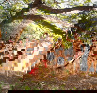 Cooktown and Cape York Expo 2021 - Travel Agents