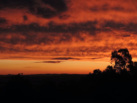 Father's Day At Cottontail Wines - Travel Agents 0