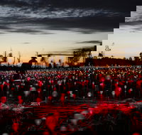 Field of Light Uluru - Travel Agents