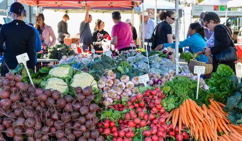 Harvest Launceston Community Farmers' Market - Travel Agents 2