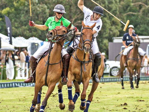 Land Rover Polo In The City - Travel Agents 0