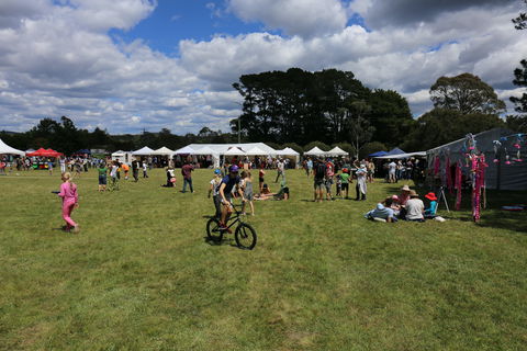 Majors Creek Festival - Tourism Guide 0