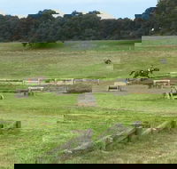 Mount Gambier and District Pony Club Horse Trials 2020 - Cruises Travel
