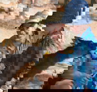 Mums and Cubs And Dads too - Travel Agents