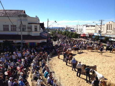 NCMC Casino Beef Week - Tourism Guide 0