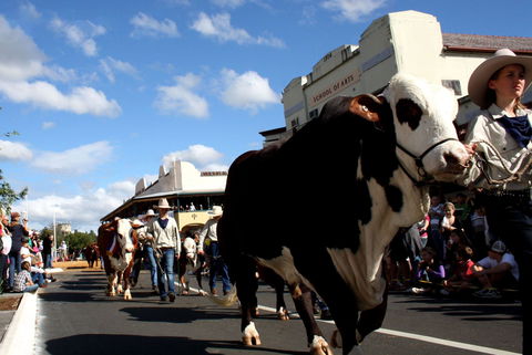 NCMC Casino Beef Week - Tourism Guide 1