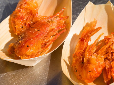Ocean Harvest Festival - Travel Agents 1