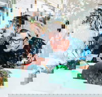 Open Studios Week One  DESIGN Canberra - Travel Agents