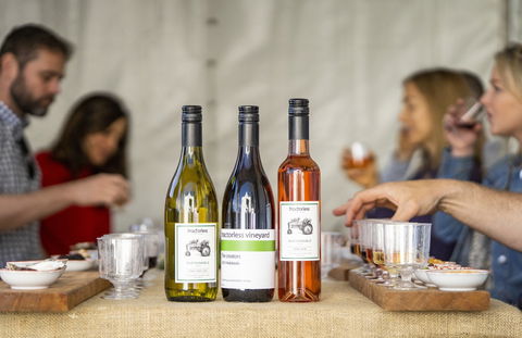 Southern Highlands Food And Wine Festival - Cruises Travel 2