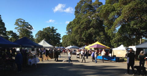 The Berry Markets - Travel Agents 0