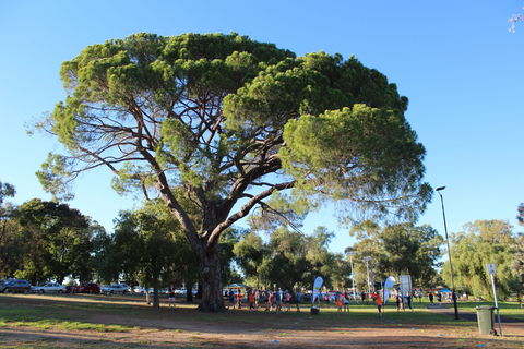Wagga Parkrun - Tourism Guide 1