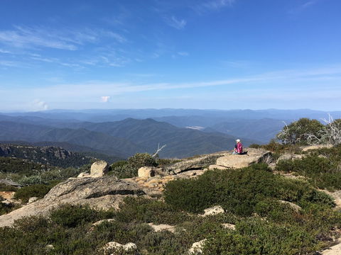 Hedonistic Hiking's Buffalo And Bubbles - Travel Agents 1