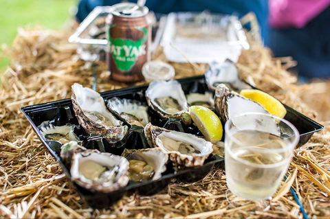 Narooma Oyster Festival - Tourism Guide 1