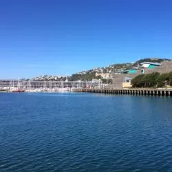 Wellington