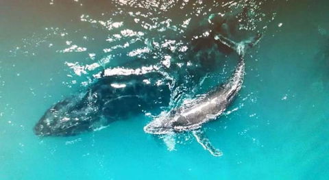 Ningaloo Lodge Exmouth - Travel Agents 0