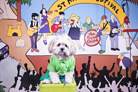 Habitat HQ - Hostel - Tourism Guide 0