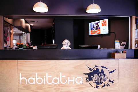 Habitat HQ - Hostel - Tourism Guide 3