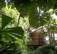 Daintree Wilderness Lodge - Tourism Guide
