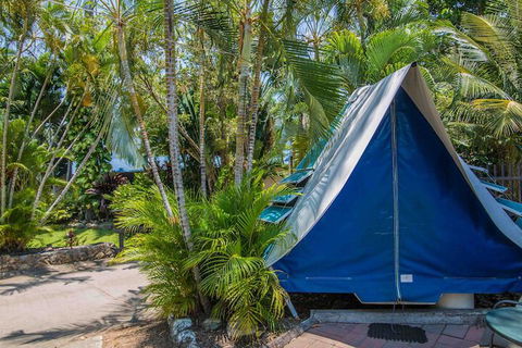 Tasman Holiday Parks - Airlie Beach - Tourism Guide 5