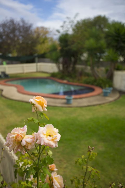 Rose Garden Motel - Tourism Guide 3