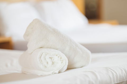 Garden Lodge Sydney - Travel Search 4
