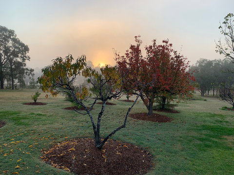 Woolshed Hill Estate - Tourism Guide 6