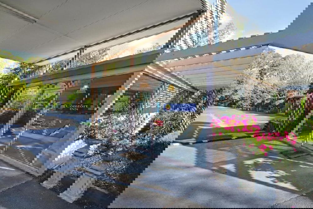 Amor VIC Travel Agents