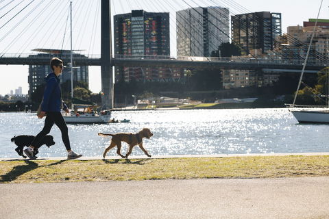 Haven Glebe - Travel Search 0