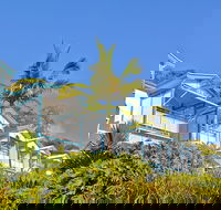 Tangalooma Island Resort - Travel Search