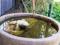 Hope Cottage Country Retreat - Travel Agents 4