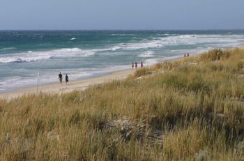 Scarborough & Absolutely Beachfront - Tourism Guide 0