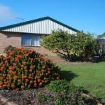 Lemontree Cottage - Tourism Guide 0