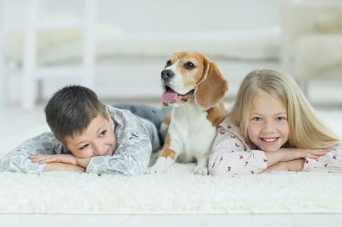 BOUTIQUE STAYS - Elwood Hideaway - Tourism Guide 3