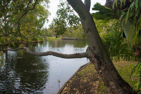 Northlakes Studio - Cruises Travel 4