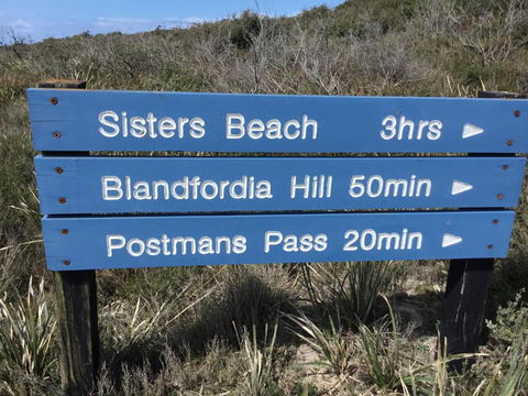 Beths Cottage Roaring 40s - Travel Search 1