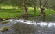 Christmas Creek Cafe & Cabins - thumb 4