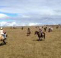 Susan River Homestead - Travel Search