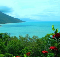 Aquatica Palm Cove - Travel Search