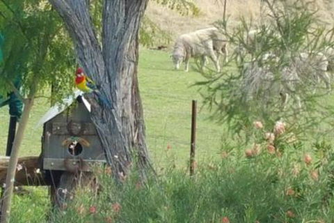 Birdhouse Cottage B & B - Travel Agents 5