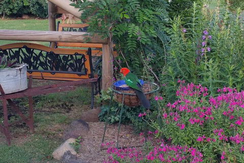 Birdhouse Cottage B & B - Travel Agents 3